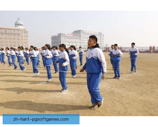 全面解析体操训练方案及技巧