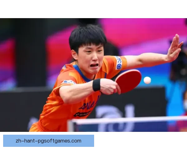 乒乓球高效训练方法总结及应用指南