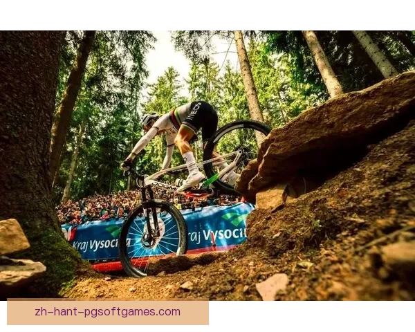 全面解读山地车赛程：挑战与激情