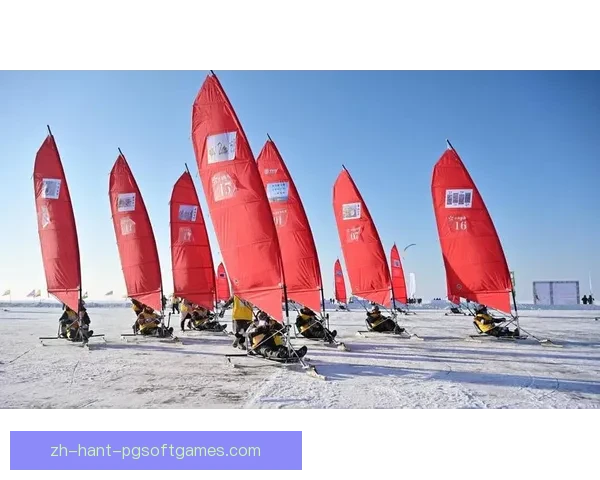 帆船比赛：风帆激荡，挑战极限