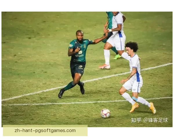 柔道赛事预测：战力对比与胜负分析