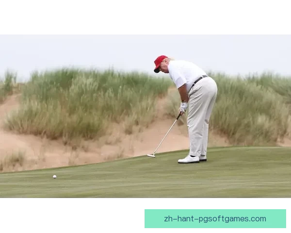 高尔夫冠军：无可取代的风采